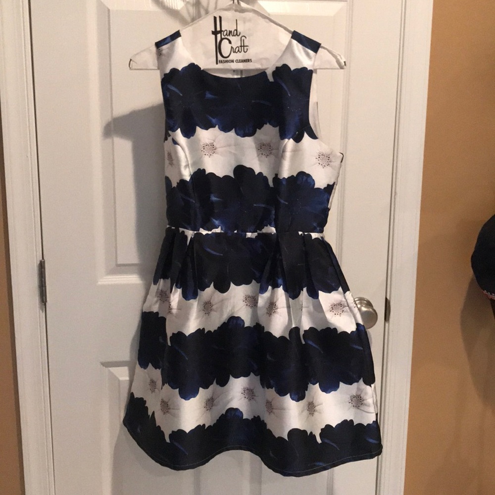 Blue and White floral dress